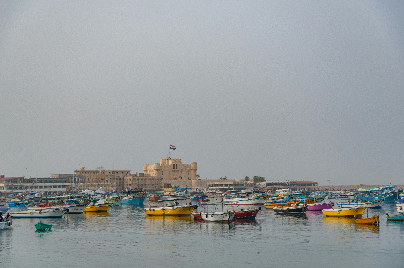 Alexandria -Egypt