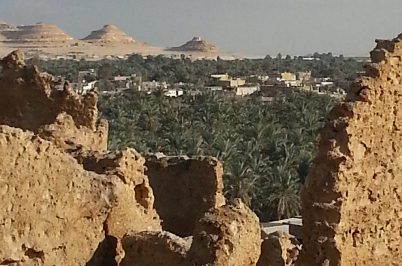 Siwa oasis