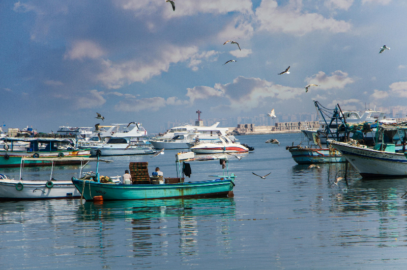 Alexandria - old port