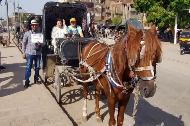 Luxor City Tour by Horse Carriage